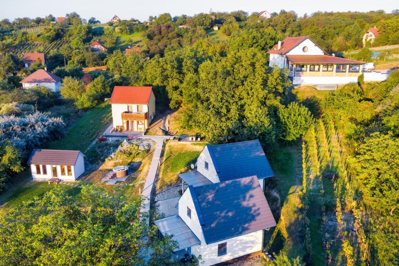 Borárium Vendégházak - Zenit Ház Pazmand Exterior foto